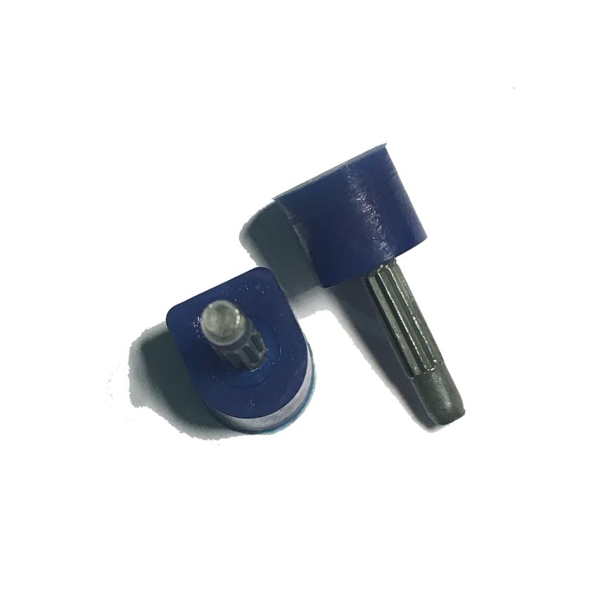 Capas de encaixe Coloridas Bicapa Star