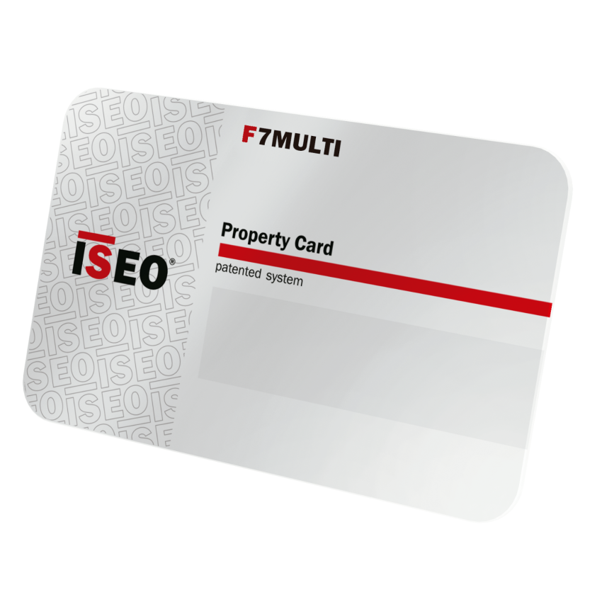 Cilindro Iseo F7 30x30mm latão