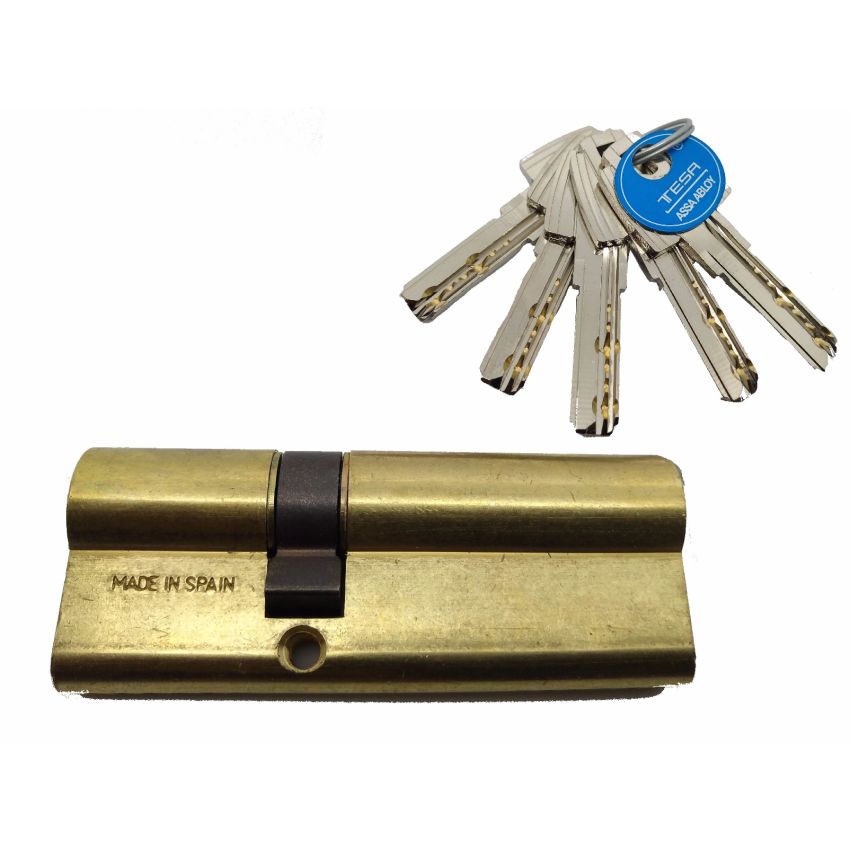 Cilindro Tesa T60 35x60mm latonado