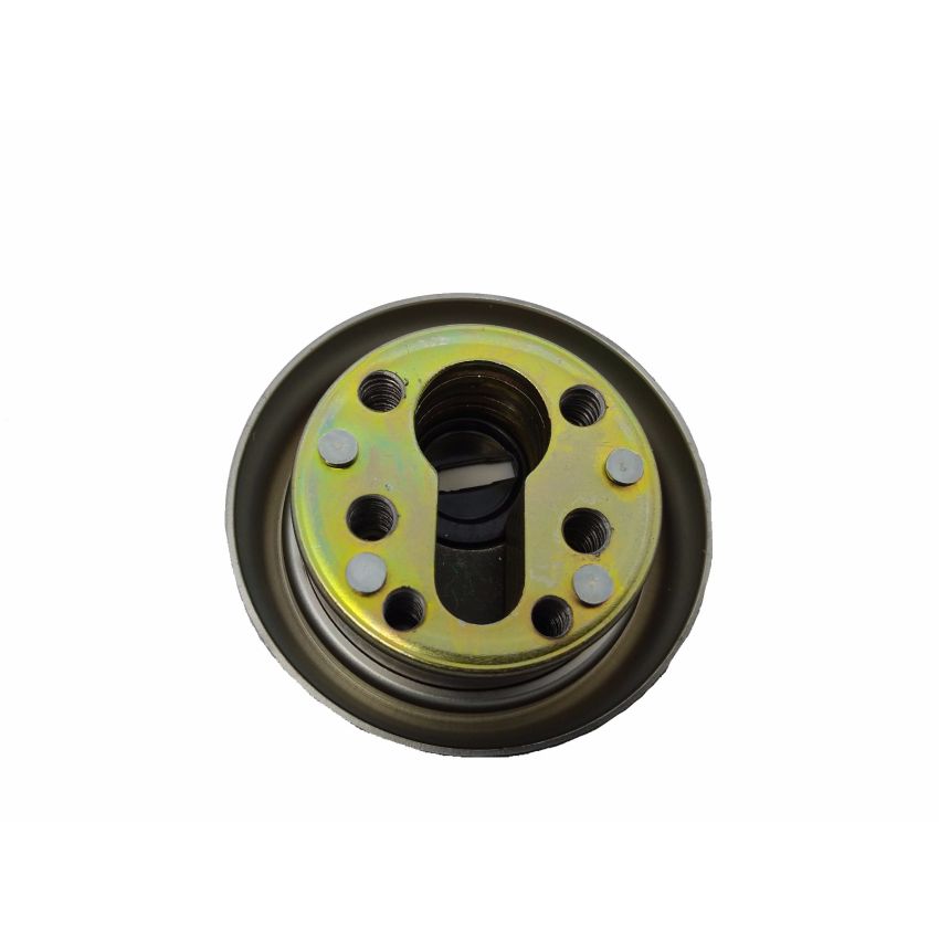 Escudo de segurança TESA com proteção rotativa para cilindro de perfil europeu, cromado