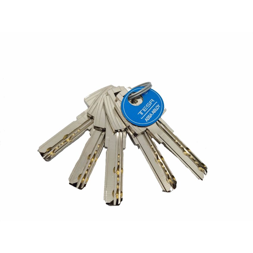 Cilindro Tesa T60 35x60mm latonado